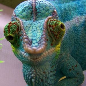 Meet your Posher, Jaime